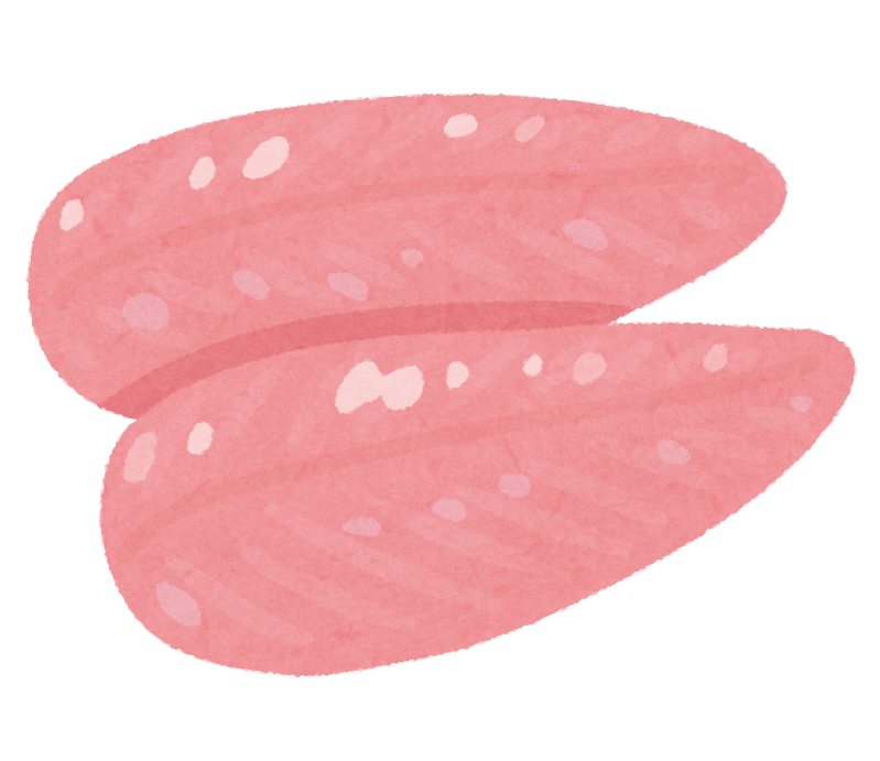 ささみ