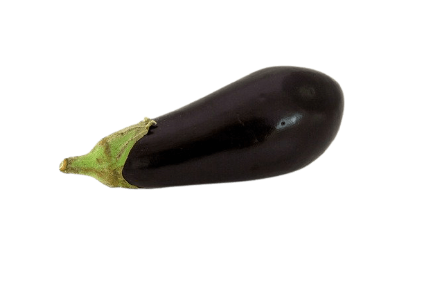 なす素材